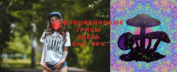 твердый Алексин