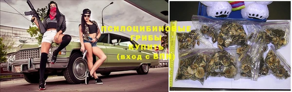твердый Алексин