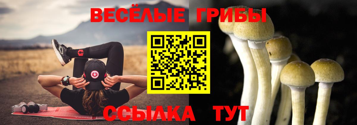 Псилоцибиновые грибы ЛСД  Вход с VPN  Владивосток 