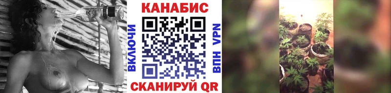Канабис план  продажа наркотиков  hydra ТОР  Владивосток 